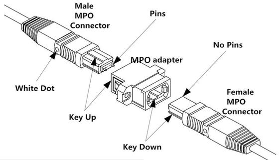 繊維光学MPOケーブルのメス コネクタのジャンパー2m （6ft） OS2 9/125 24の中心の単一モード